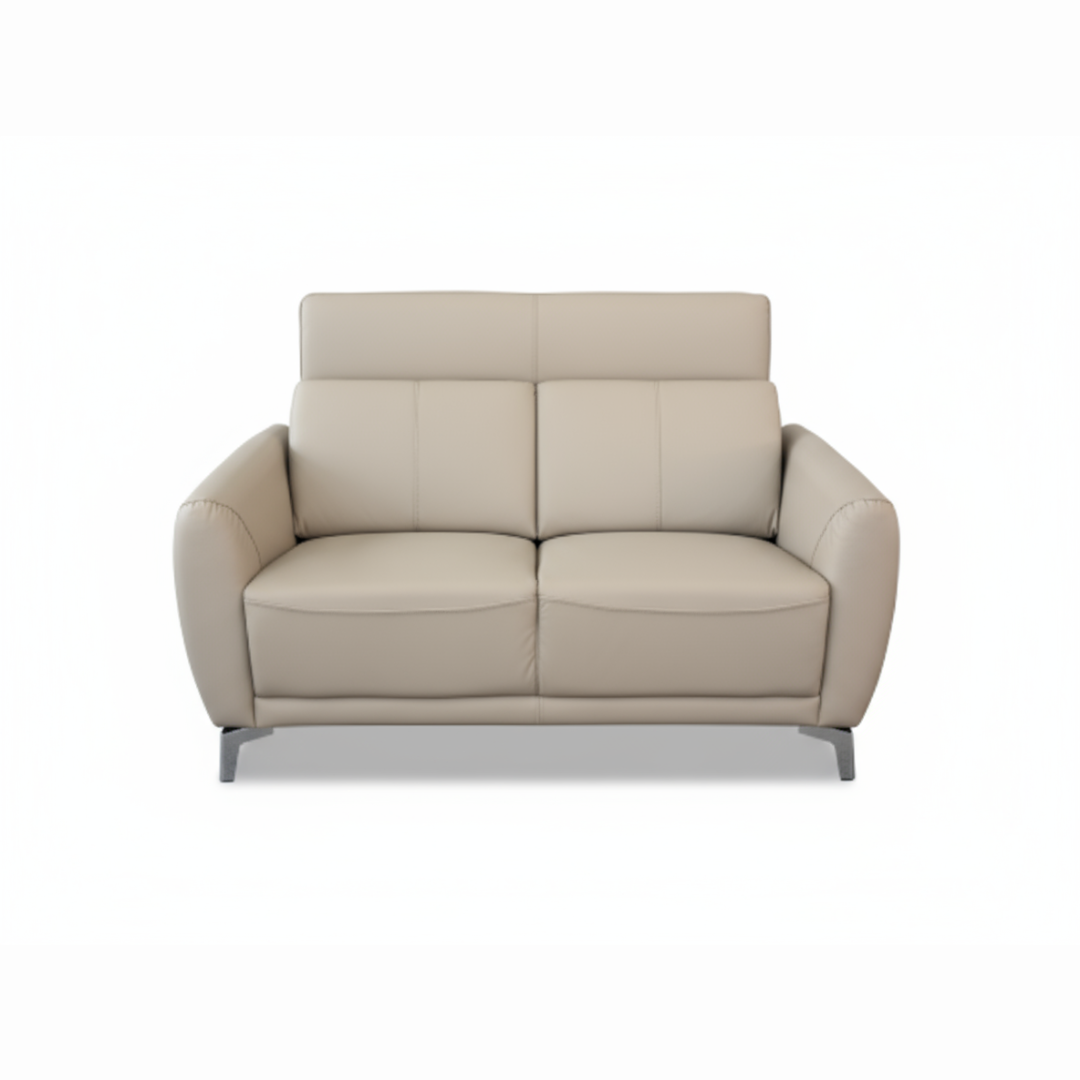 SlideMax 2-Seater Slider Sofa (Half Leather)